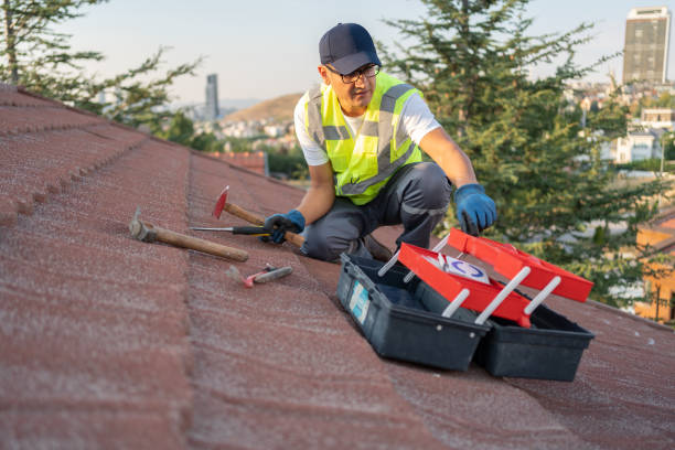 Best Historical Building Siding Restoration  in Lady Lake, FL